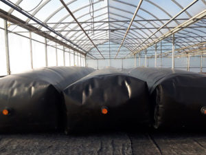 Canada invests in ‘clean-tech’ aquaculture