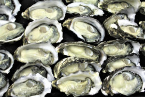 A model for estimating pathogen variability in shellfish