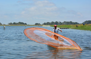 Transparency technology puts aquaculture on the front foot
