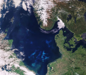 Killers at sea: Harmful algal blooms and their impact on aquaculture