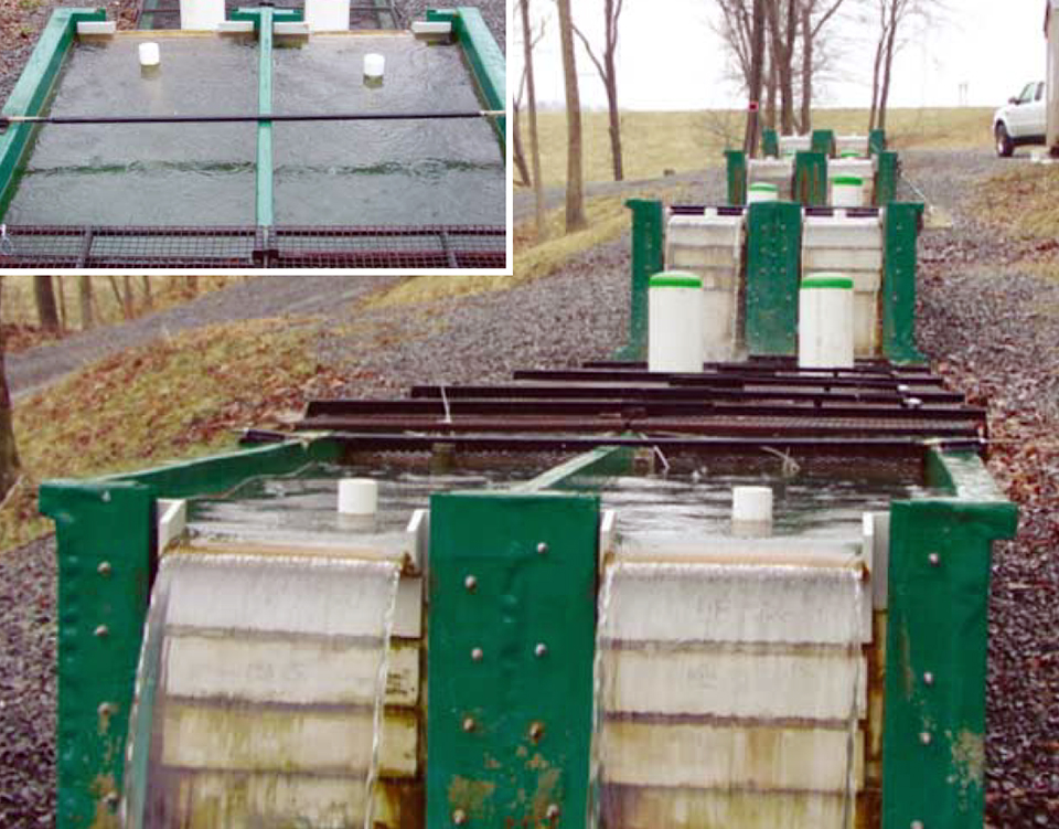 Article image for Vegetable-based trout feed boasts lower waste loads