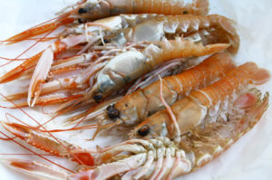 Plastic 2.Ocean: Seafood packaging, made from shellfish
