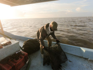 Farmers trade Kansas cornfields for Florida clam beds