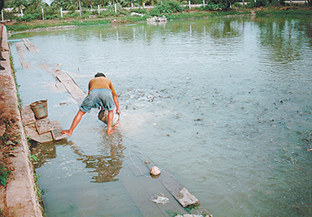 Article image for No single solution for effluent management