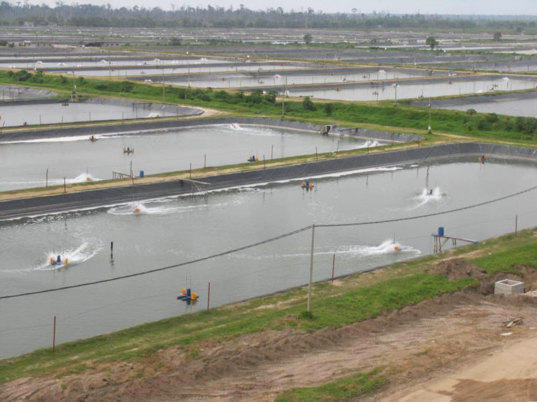 Article image for Energy use in aquaculture pond aeration, Part 1