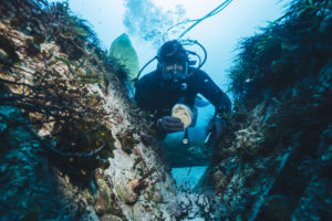 Documentary to depict ‘what we should demand’ from aquaculture