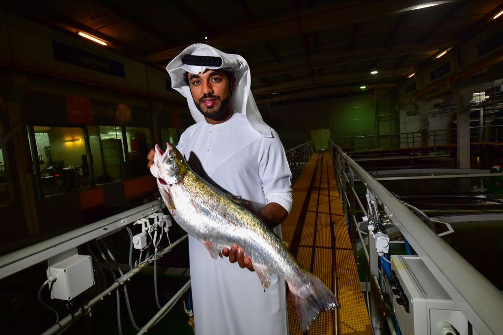 Article image for A salmon farm in Dubai, because of course