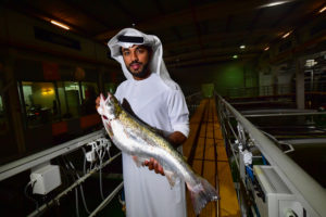 A salmon farm in Dubai, because of course