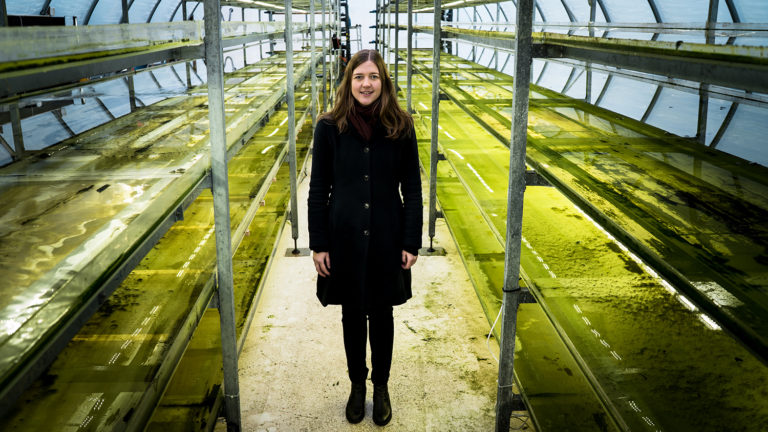 Article image for Swedish innovators create multiple revenue streams from effluent