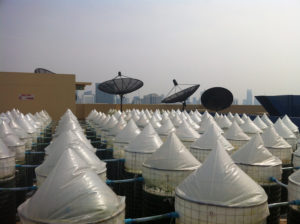 Just add sun: Behind EnerGaia’s evolving spirulina strategy