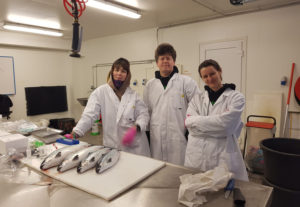 How can Norway defeat pancreatic disease in salmon? By detecting it faster.