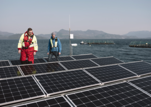 Renewable energy could transform offshore aquaculture, but what about …