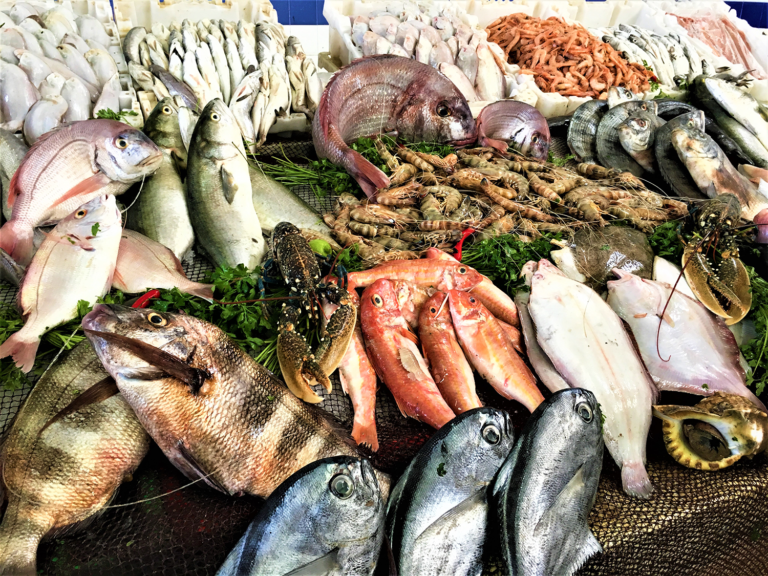 Article image for Animal tubulin-based polymorphism for genetic profiling of fish species