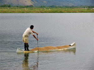Enhanced biodiversity of gut flora, feed efficiency in Nile tilapia under reduced-frequency feeding