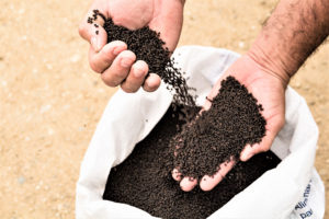 Extruded feeds combined with acoustic feeding technology maximizes shrimp farm production