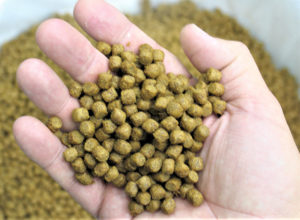 Feeding fish in a challenging economic environment