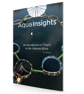 Aqua-Spark report: Tilapia aquaculture key to food security across sub-Saharan Africa