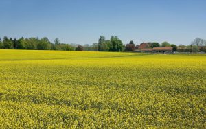 Assessing the risk of alternative aquafeed ingredients, part 2
