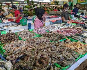 The tie that binds: Aquatic foods tied to successful nutrition policies