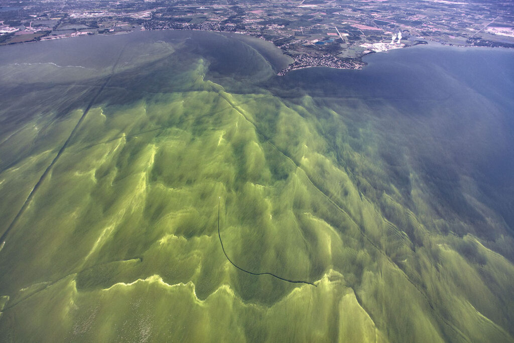 Article image for Climate change effects on aquaculture production