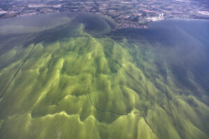 Climate change effects on aquaculture production