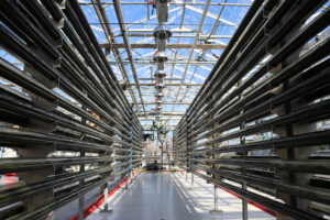 Sustainable feeds: Microalgae as a source of minerals in aquaculture