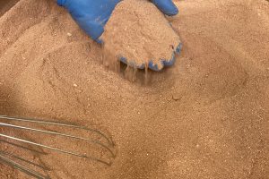 NovoNutrients secures funding to scale up microbial meal production