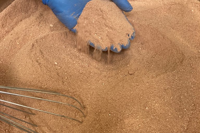 Article image for NovoNutrients secures funding to scale up microbial meal production