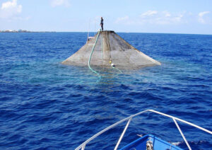 A review of marine fish aquaculture in submerged cages