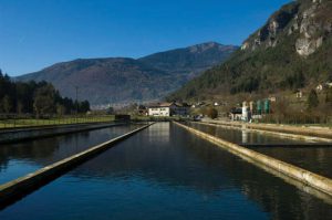 Precision trout: Optimizing oxygen for better welfare and production