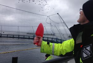 Precision salmon: Optimizing welfare through data-driven insights
