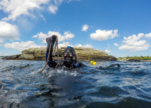The hidden cost of ghost gear lost by fishing and aquaculture