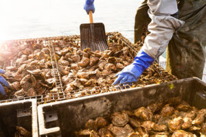 The Nature Conservancy defines restorative aquaculture in new study