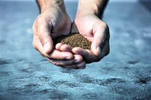 Go beyond PCR for better aquafeed biosecurity