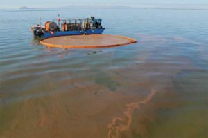 International Artemia Aquaculture Consortium may launch this year