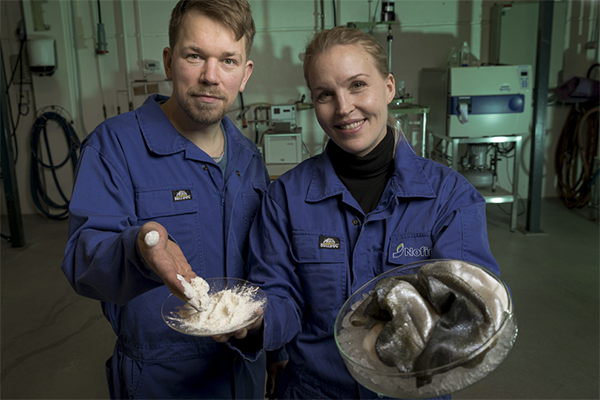 Article image for Undervalued and invasive species hold value for products consumers want, say researchers