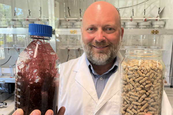 Article image for SeaStock granted license to commercially sell ‘methane-busting’ seaweed supplement for livestock